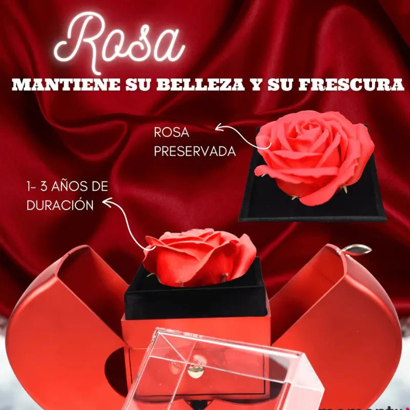 Rosa Preservada (Caja de Regalo Flor)