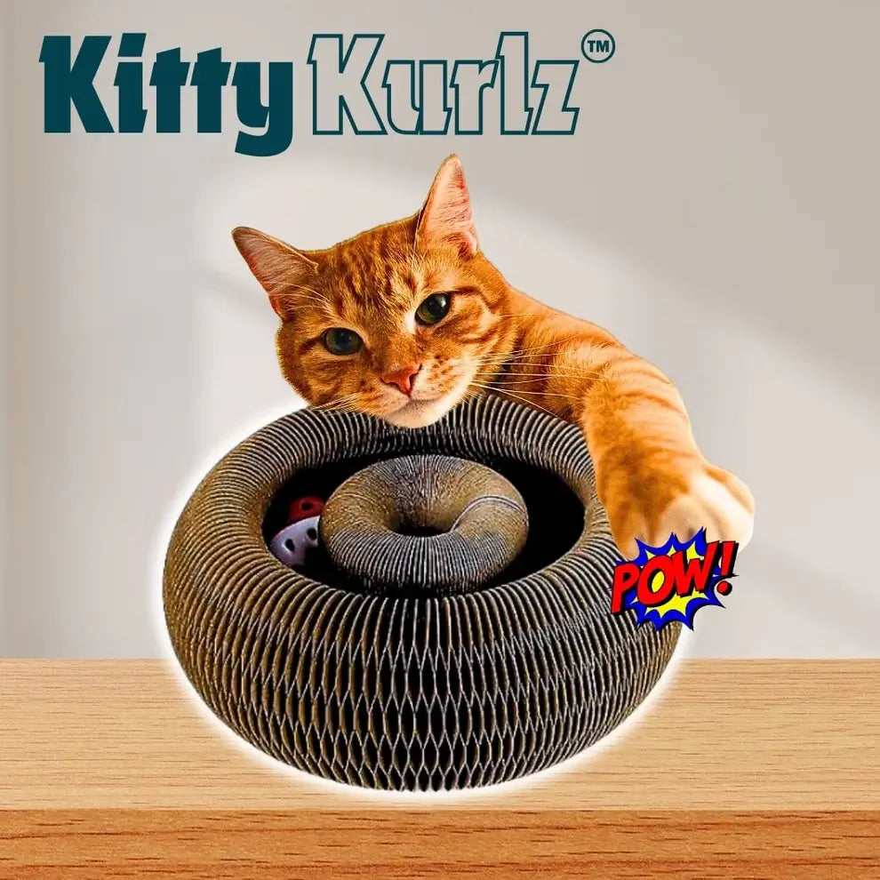 Kitty Kurlz (Votado como el Juguete #1 por más de 1300 familias de gatos)