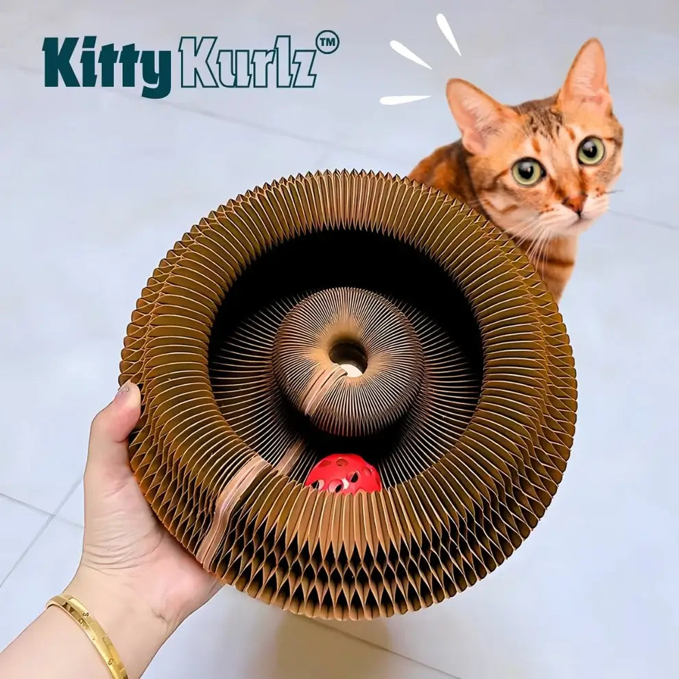 Kitty Kurlz (Votado como el Juguete #1 por más de 1300 familias de gatos)