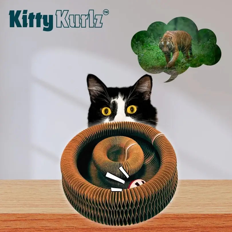 Kitty Kurlz (Votado como el Juguete #1 por más de 1300 familias de gatos)